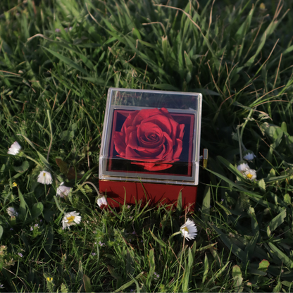 Eternal Rose Box - W/ Engraved Necklace