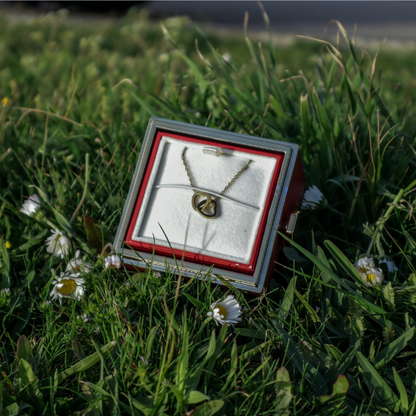 Boîte Rose Éternelle - Avec Collier Gravé